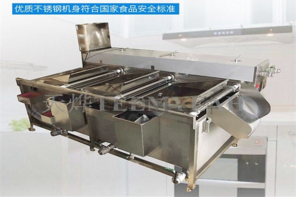 常見的洗菜機(jī)有哪些種類